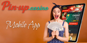 Pin Up App - A Premier Brazilian Online Gambling Platform
